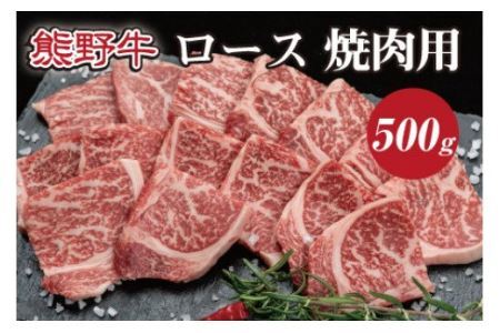 熊野牛 リブロース 焼肉用 約500g【MT21】【BR50-mtf410A】