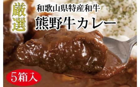 熊野牛 カレー 5食セット【MT54】【BR89-mtf003】