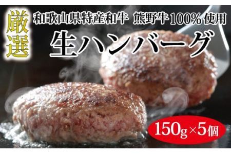 熊野牛 生ハンバーグ 8個入り【MT55】【BR90-mtf106A】