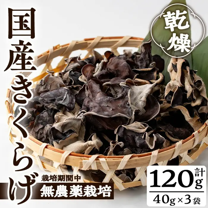 きのこ 国産 きくらげ(計120g・3袋)【九南サービス(タマチャンショップ)】A501