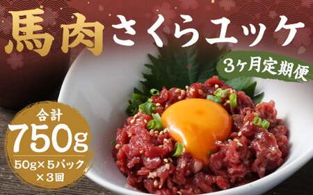 【 3ヶ月 定期便 】 馬肉 さくらユッケ250g （ 50g × 5パック） 合計 750g 肉 お肉 馬 桜 桜ユッケ さくら ユッケ 生 生ユッケ 冷凍