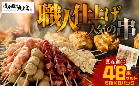 2458 国産 鶏串 48本 セット（ 6種 × 8パック ） KN077-004 肉 鶏肉 惣菜 総菜 冷凍