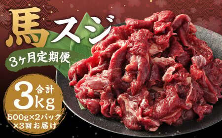 【 3ヶ月 定期便 】 馬スジ 1kg （ 500g × 2パック） 合計 3kg 冷凍 肉 お肉 馬肉 馬 スジ肉 スジ 煮込み 煮物 熊本