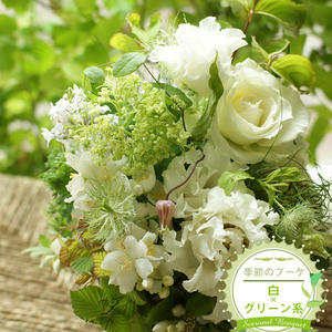 季節のブーケ（花束・生花：白×グリーン系）　事前やりとりしてのオーダーメイド。旬のお花と季節のグリーン、実物や枝物等を合わせてご用意いたします。【 花束 ブーケ 神奈川県 大磯町 】