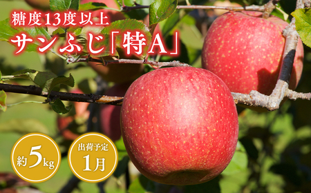 【レビューキャンペーン】《1月発送》 サンふじりんご 「 特A 」規格 約5kg (14～20玉程度)[hi-0009-005]
