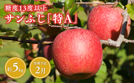 【レビューキャンペーン】《2月発送》 サンふじりんご 「 特A 」規格 約5kg (14～20玉程度)[hi-0009-006]