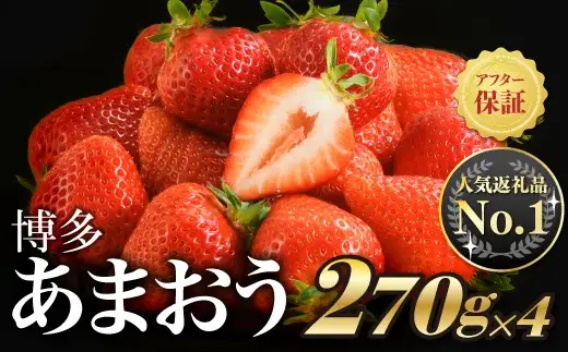 人気１位獲得謝礼品★限定品★博多あまおう約１，０８０g（先行受付／２０２７年２月以降発送）.A1609【あまおう】