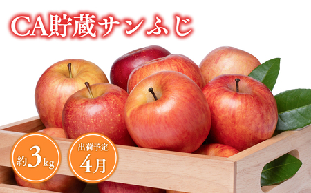 【レビューキャンペーン】《4月発送》 CA貯蔵サンふじ 約3kg(8～10玉程度)[hi-0009-011]