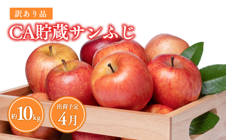 【レビューキャンペーン】《4月発送》 訳ありCA貯蔵サンふじ 約10kg(28～46玉程度)[hi-0009-012]