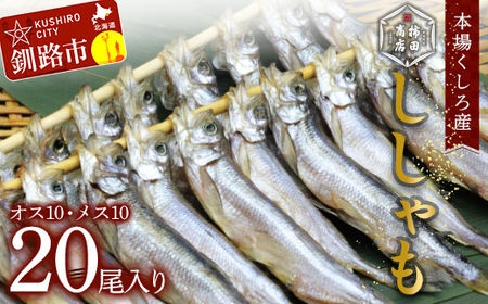 本場くしろ産 ししゃもオス・メス20尾入り！ 本ししゃも 魚 ししゃも 魚好きのオス プチプチたまごのメス 魚介 グルメ シシャモ 北海道産 国産 魚 魚介 海の幸 F4F-9163