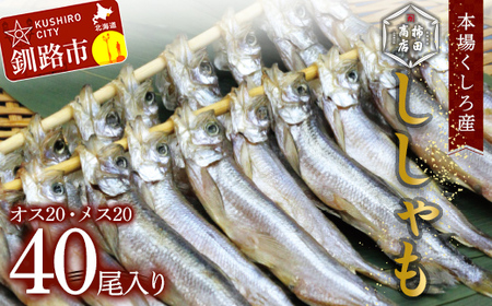 本場くしろ産 ししゃもオス・メス40尾入り！ 本ししゃも 魚 ししゃも 魚好きのオス プチプチたまごのメス 魚介 グルメ シシャモ 北海道産 国産 魚 魚介 海の幸 F4F-9165