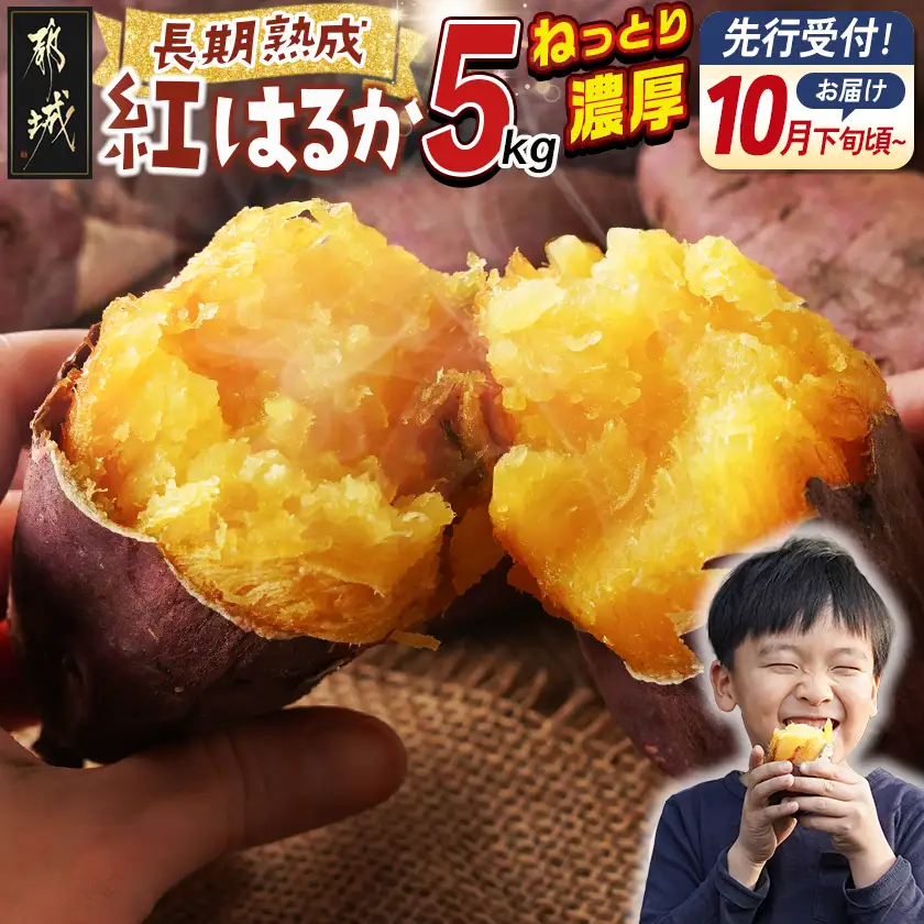 【先行受付】都城産 長期熟成紅はるか 5kg≪2026年10月下旬頃より順次お届け≫〔AA-I2-001-5kg-10〕_(都城市) 都城産さつまいも 熟成紅はるか 5kg 長期熟成 スイーツ