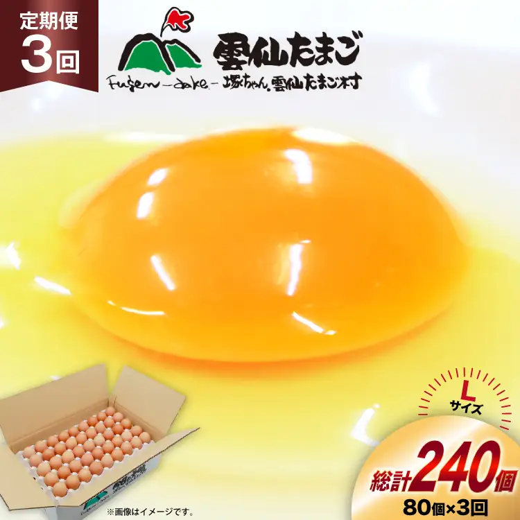 BI037 3回 定期便 たっぷり！ 雲仙たまごLサイズ 80個 (75個＋割れ補償5個入り) [長崎県 島原市]