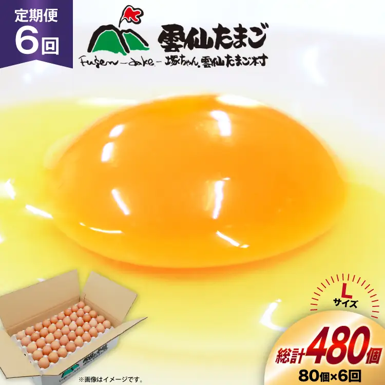 BI038 6回 定期便 たっぷり！ 雲仙たまごLサイズ 80個 (75個＋割れ補償5個入り) [長崎県 島原市]