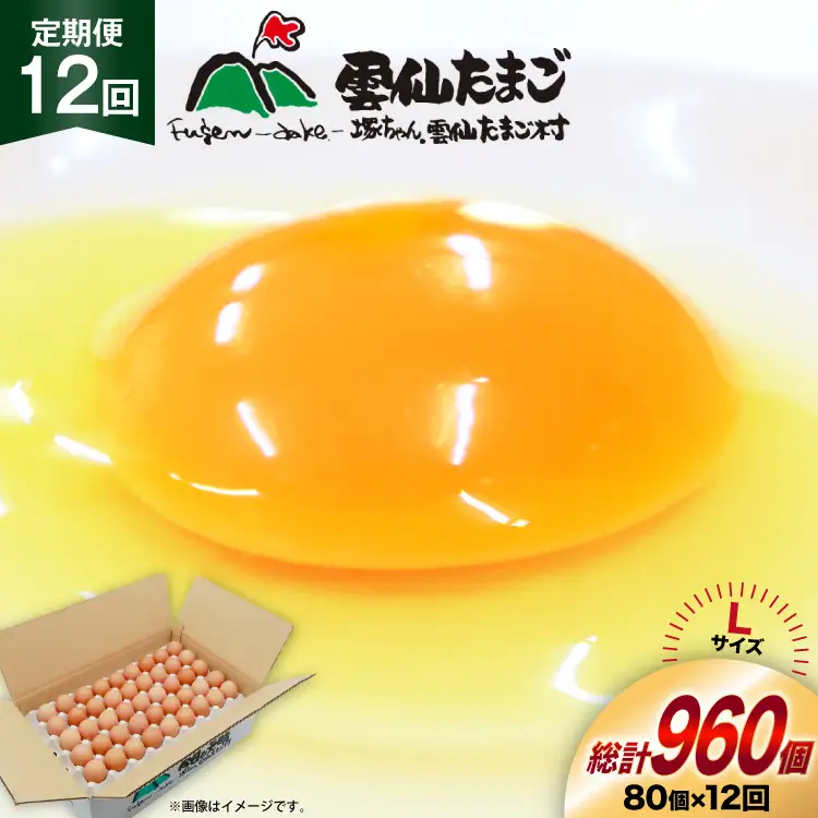 BI039 12回 定期便 たっぷり！ 雲仙たまごLサイズ 80個 (75個＋割れ補償5個入り) [長崎県 島原市]