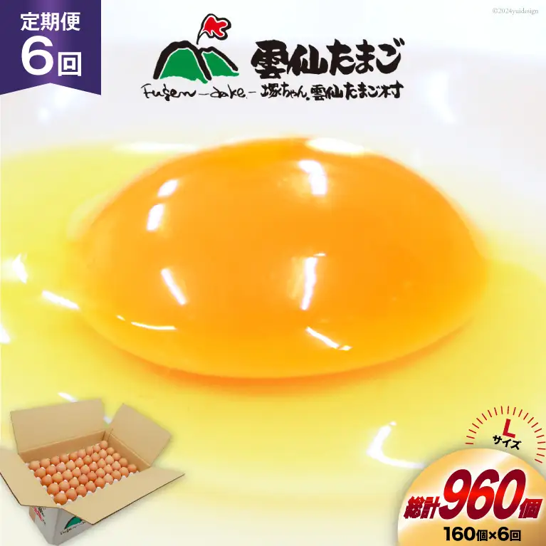 BI047 6回 定期便 どっさり！ 雲仙たまごLサイズ 160個(150個＋割れ補償10個入り) [長崎県 島原市]