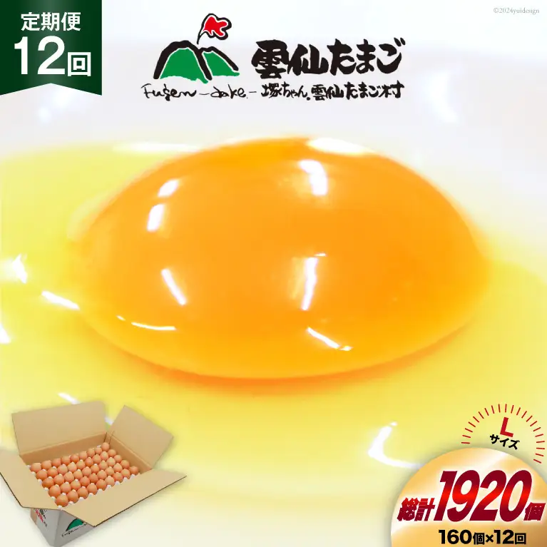 BI048 12回 定期便 どっさり！ 雲仙たまごLサイズ 160個(150個＋割れ補償10個入り) [長崎県 島原市]