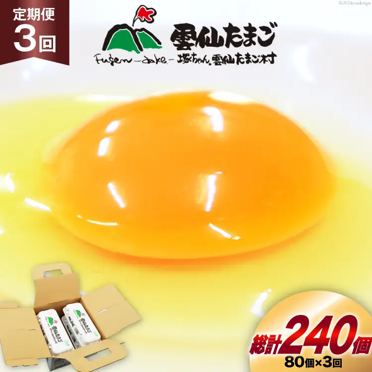 BI034 3回 定期便 雲仙たまごLサイズ  80個 (10個入り×8パック)(75個＋割れ補償5個入り) [長崎県 島原市]