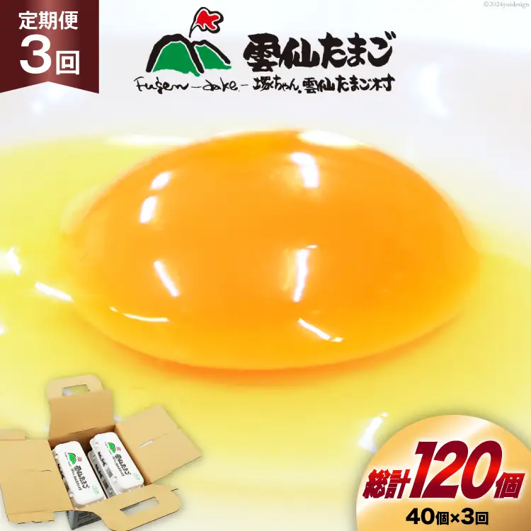BI031 3回 定期便 雲仙たまごLサイズ 40個 (10個入り×4パック) (37個＋割れ補償3個入り) [長崎県 島原市]