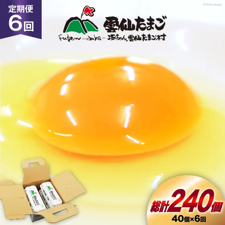BI032 6回 定期便 雲仙たまごLサイズ 40個 (10個入り×4パック) (37個＋割れ補償3個入り) [長崎県 島原市]
