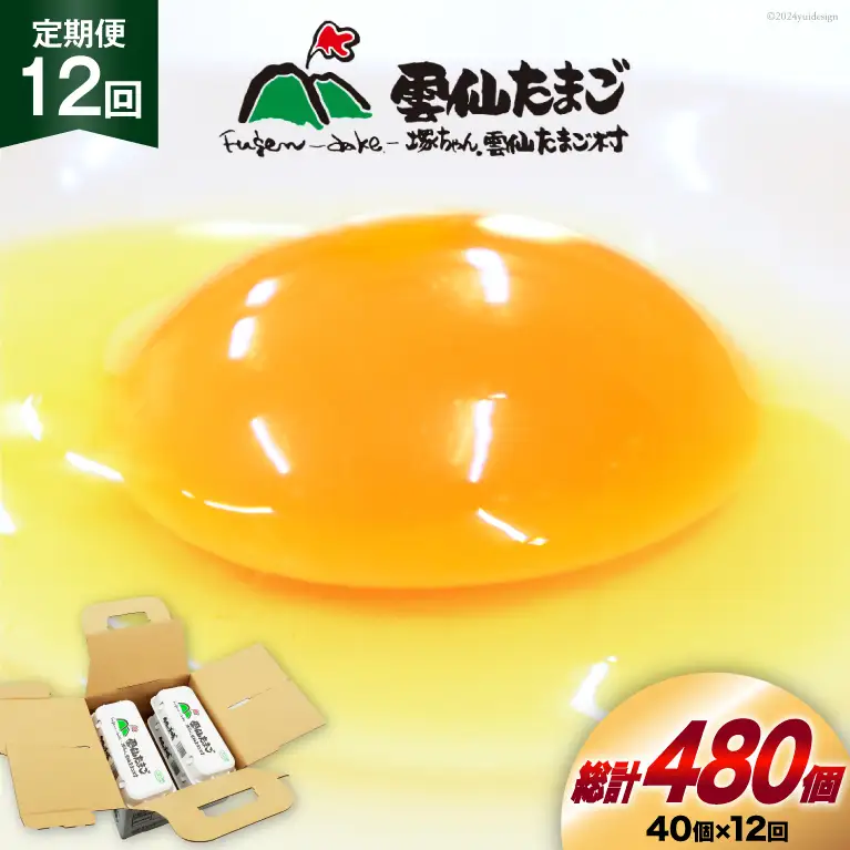 BI033 12回 定期便 雲仙たまごLサイズ 40個 (10個入り×4パック) (37個＋割れ補償3個入り) [長崎県 島原市]