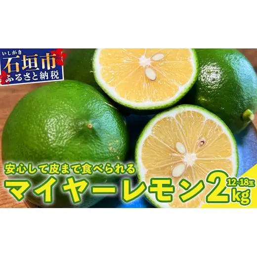 【先行予約】こだわりの青切りマイヤーレモン 約2kg (12～18個) 
