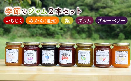 ジャム 季節のジャム2本セット 手作り フルーツ くだもの セット 千葉県 いちじく みかん 梨 プラム ブルーベリー パン ヨーグルト