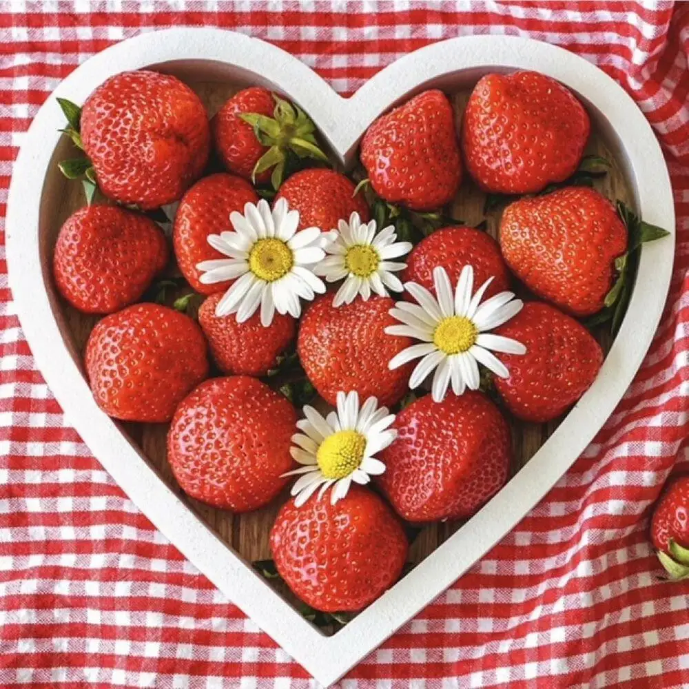 福岡県産完熟あまおういちご（約270g×4パック） | フルーツ 果物 くだもの 食品 人気 おすすめ 送料無料