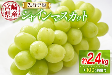 ＜先行予約＞シャインマスカット 3～4房 約2.4kg+100g補償付 宮崎県産 ※2026年8月下旬～【C433-26】