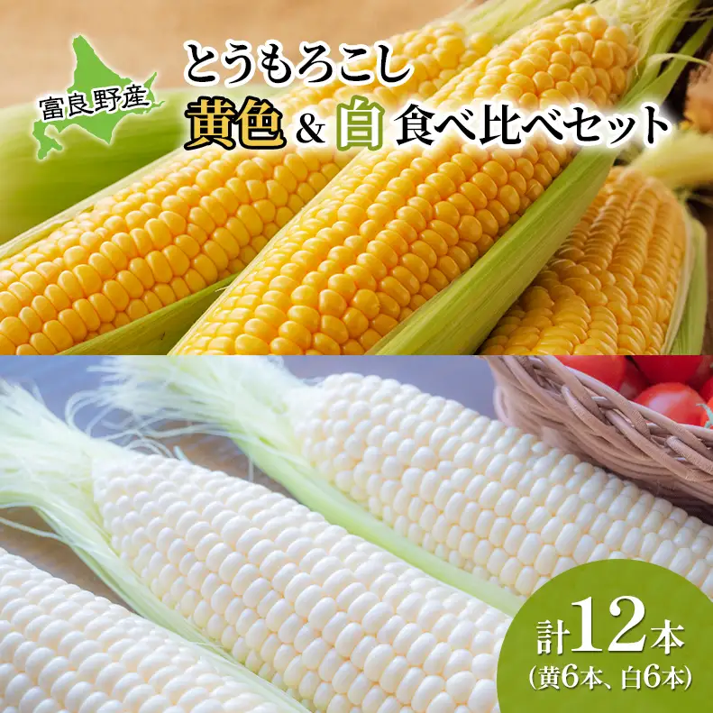 【2026年夏発送】 とうもろこし 食べ比べ 富良野産とうもろこし 黄6本・白6本セット 北海道 富良野 ふらの コーン とうきび トウモロコシ ホワイトコーン 野菜 甘い