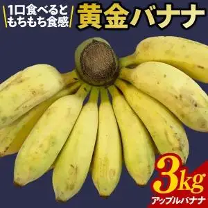 黄金バナナ（アップルバナナ）約3kg （CF001-1）