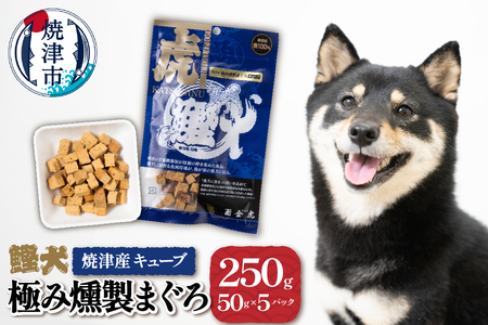 無添加 犬用 おやつ「鰹犬」焼津産燻製まぐろキューブ5袋 (a10-1094)