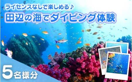 【和歌山 田辺・体験／1ボートダイビング】気軽に水中の世界を体験♪　5名様 / ダイビング スキューバダイビング ファンダイビング マリンスポーツ 体験 旅行 観光 レジャー アウトドア サンゴ 熱帯魚 水中 癒し【tds002-5】