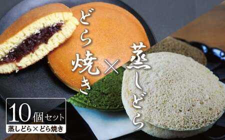 【人気どら焼き2種 10個入】和三盆 蒸しどら（プレーン）× 5 どら焼き(てらどら）×5 餡 ふわふわ しっとり食感 あいちの匠 ものづくりマイスター 優秀和菓子職 愛知県優秀技能者表彰受賞 H181-011