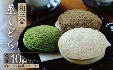 【蒸しどら3種 10個入 】和三盆 プレーン×5 抹茶×3 コーヒー×2 どら焼き 和菓子 餡 ふわふわ しっとり食感 あいちの匠 ものづくりマイスター 優秀和菓子職 愛知県優秀技能者表彰受賞 H181-012