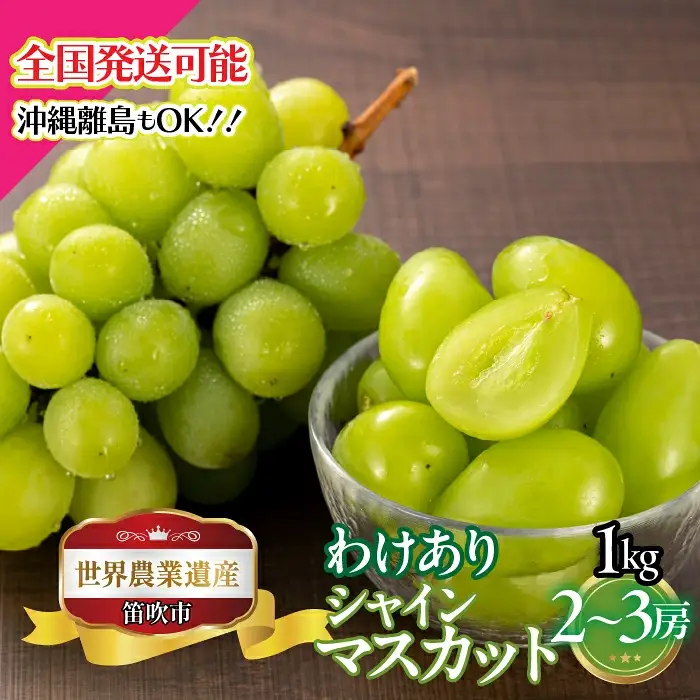 【2026年発送★先行予約】　山梨県笛吹市産　わけありシャインマスカット　1kg　2房から3房 223-008-26y