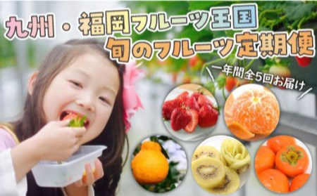 EH001.【人気】九州・福岡フルーツ王国.旬のフルーツ定期便Jセット【北海道・沖縄・離島へ配送不可】【あまおう】【秋王】【甘うぃ】