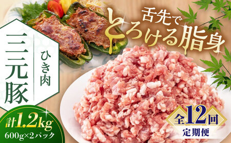 【全12回定期便】平田牧場 ひき肉 1.2kg (600g×2P)  豚肉 餃子 つくね [AJAP125]
