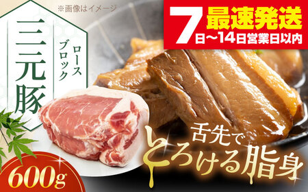 平田牧場 ロース ブロック 600g 角煮 豚肉 加工品  [AJAP070]