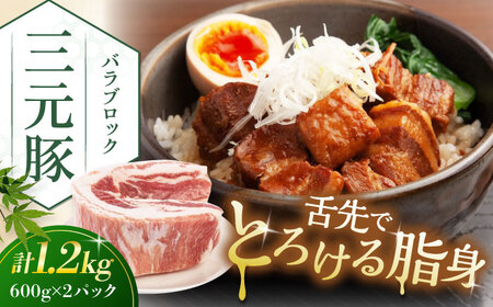 平田牧場 バラ ブロック1.2kg (600g×2P)  バラ 豚肉 国産 北海道 [AJAP073]