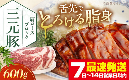 平田牧場 肩ロース ブロック 600g  角煮 ロース 豚肉 加工品 [AJAP074]