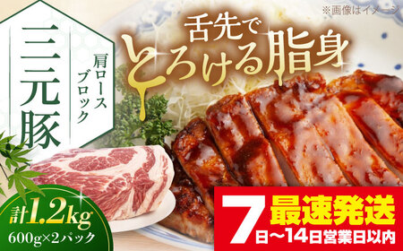 平田牧場 肩ロース ブロック 1.2kg  (600g×2P)  角煮 豚肉 加工品 [AJAP075]