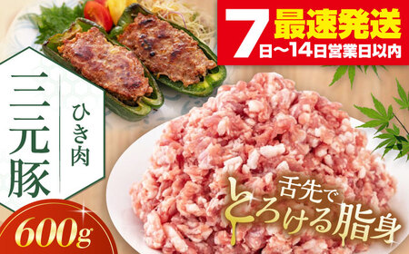 平田牧場 ひき肉 600g 豚肉 餃子 つくね [AJAP076]