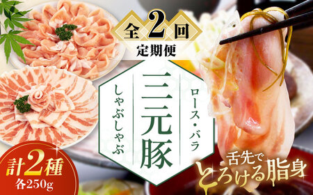 【全2回定期便】平田牧場 しゃぶしゃぶ セット 500g ( ロース バラ ) ※だし・昆布ナシ しゃぶしゃぶ 鍋 冷凍配送 [AJAP078]