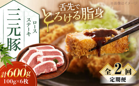 【全2回定期便】平田牧場 ロース ステーキ 600g  (100g×6枚) ※藻塩ナシ 豚肉 とんかつ 生姜焼き[AJAP086]