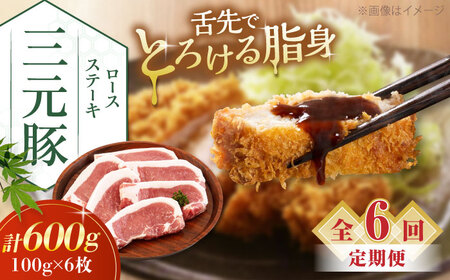 【全6回定期便】平田牧場 ロース ステーキ 600g  (100g×6枚) ※藻塩ナシ 豚肉 とんかつ 生姜焼き[AJAP088]