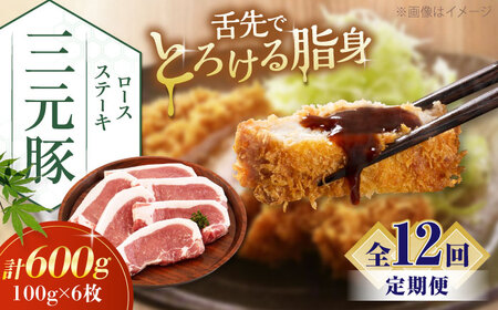 【全12回定期便】平田牧場 ロース ステーキ 600g  (100g×6枚) ※藻塩ナシ 豚肉 とんかつ 生姜焼き[AJAP089]
