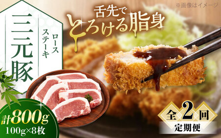 【全2回定期便】平田牧場 ロース ステーキ 800g  (100g×8枚) ※藻塩ナシ 豚肉 とんかつ 生姜焼き[AJAP090]