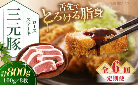 【全6回定期便】平田牧場 ロース ステーキ 800g  (100g×8枚) ※藻塩ナシ 豚肉 とんかつ 生姜焼き[AJAP092]
