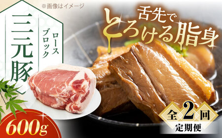 【全2回定期便】平田牧場 ロース ブロック 600g 豚肉 ローストポーク 煮豚 煮物 [AJAP094]